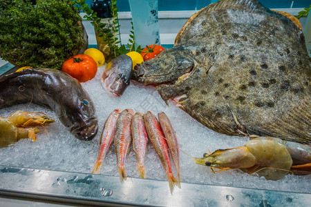 水產與人類生活 從自然饋贈到產業藍海