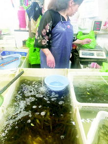 水產品成缺斤少兩多發地，監管與誠信雙缺失亟待解決