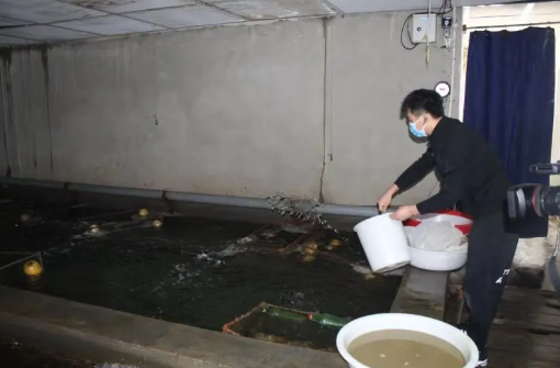 水產品的營養價值與健康生活
